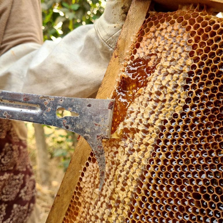 173714674_134753281948739_1497433648240226035_n