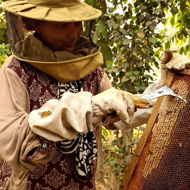 173788528_134753291948738_2161966178052114460_n