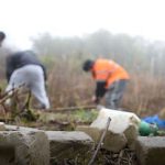 Workers at new Apiary_JPG